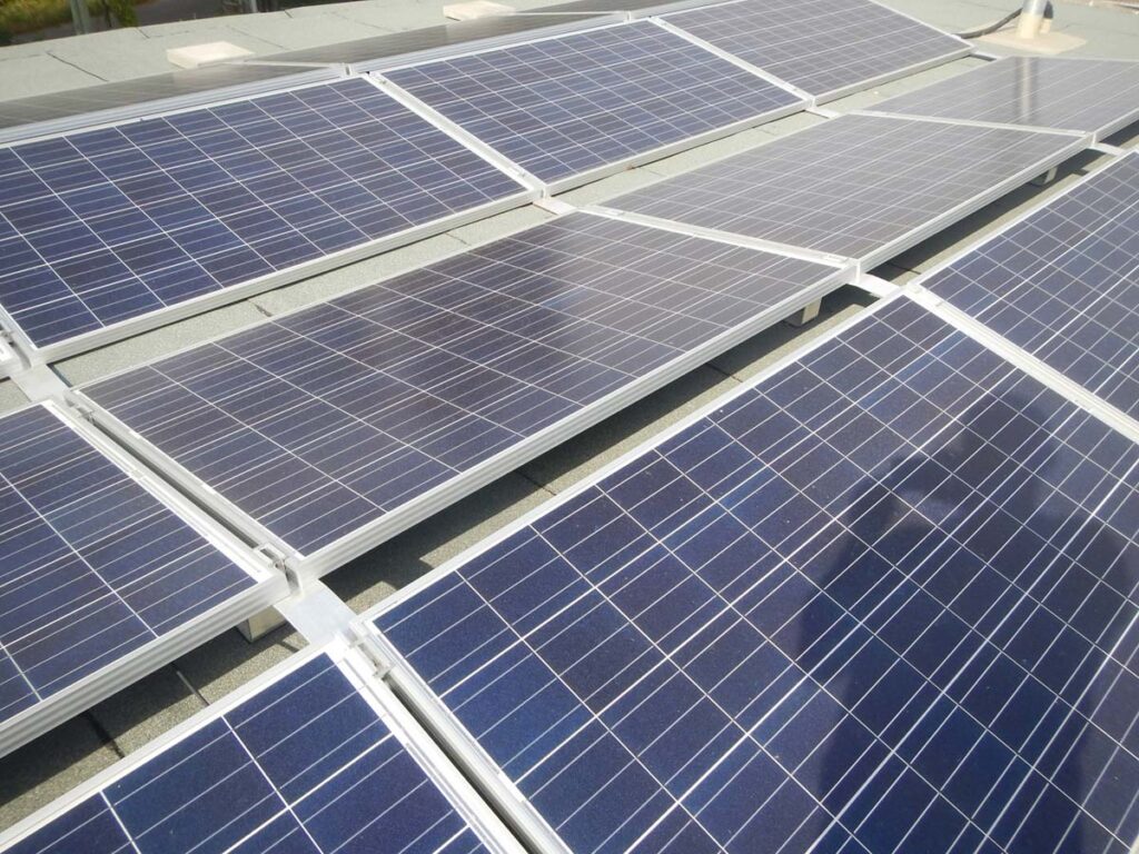 Umwelt im Fokus bei Wörpel Bau