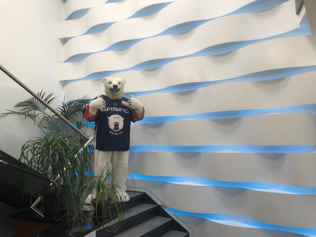 eisbaeren2 Wörpel Bau als Sponsor